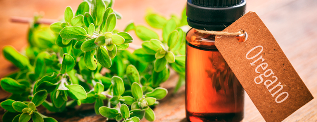 A bottle of oregano oil, known for its potential benefits in preventing cavities.